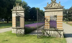 Otwarta brama w parku, z kwitnącą lawendą i ławkami w tle.