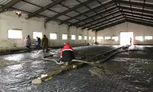 Pracownicy wylewają beton na siatkę zbrojeniową. Czekamy, aż wylewka schnie, by móc kontynuować prace.