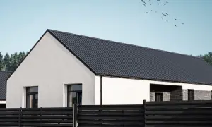 Nowoczesny dom z białym tynkiem i ciemnym, falistym dachem z blachy trapezowej. Ptaki szybują na błękitnym niebie.