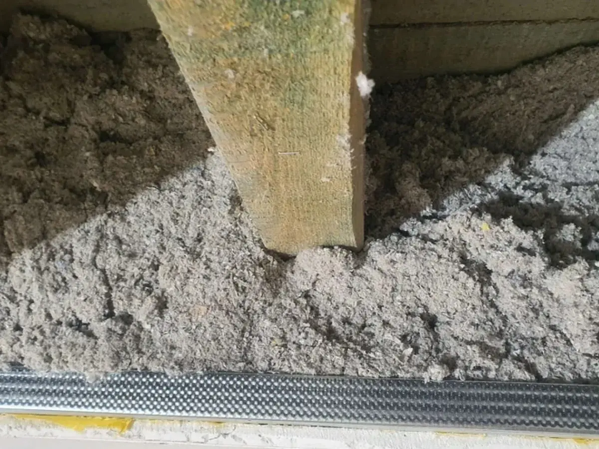 Luźna, szara celuloza wypełnia przestrzeń między drewnianymi belkami, tworząc izolację.
