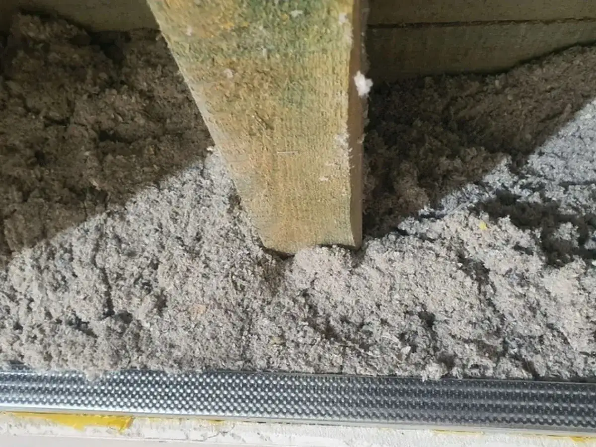 Luźna, szara celuloza wypełnia przestrzeń między drewnianymi belkami, tworząc izolację.